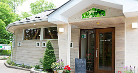 waveANNEXについて