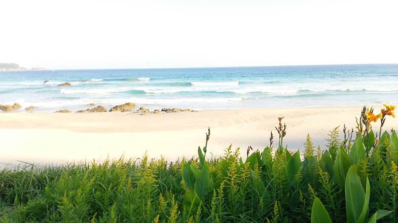 waveANNEXについて